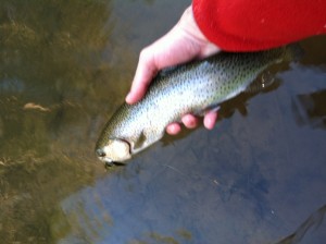 01.19.13 Carter Stokes @ Chauga River