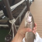 VenablesTyler@LakeKeowee