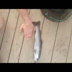 VenablesTyler&Hand