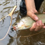 Bear_flyfishing 1