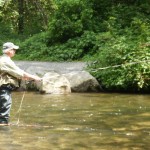 OLLI_12