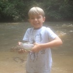 brady trout 2