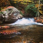 EvansJ_110913#1