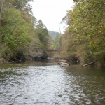 Upstream on West Fork#1