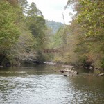 Upstream on West Fork#3