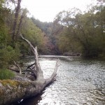 Homestead Area of the Chattooga River #6