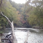 Homestead Area of the Chattooga River #8