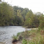 Homestead Area Island of the Chattooga River #9