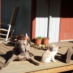 Bud&Tom#1