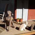 Bud&Tom#2