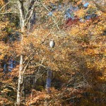 dscn2265